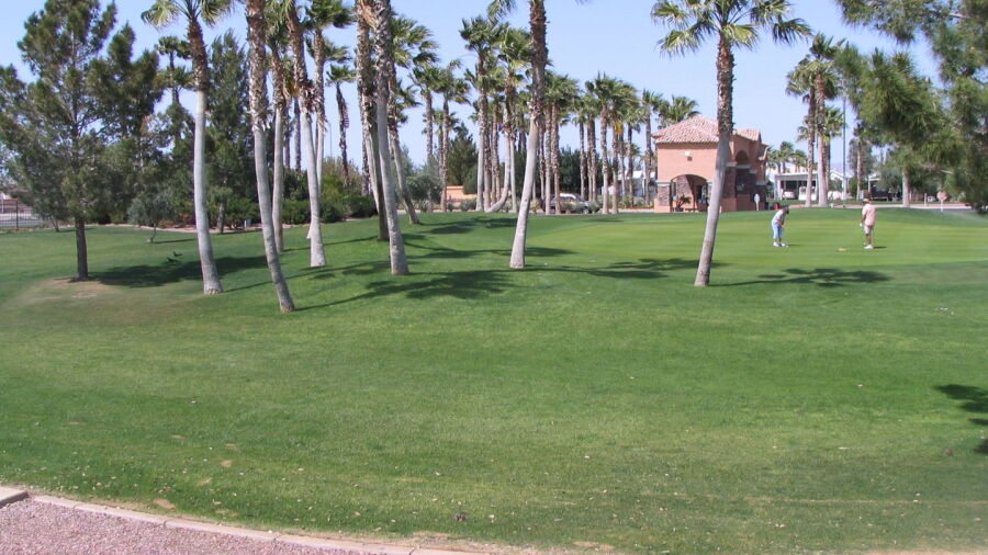 Palm Creek GC