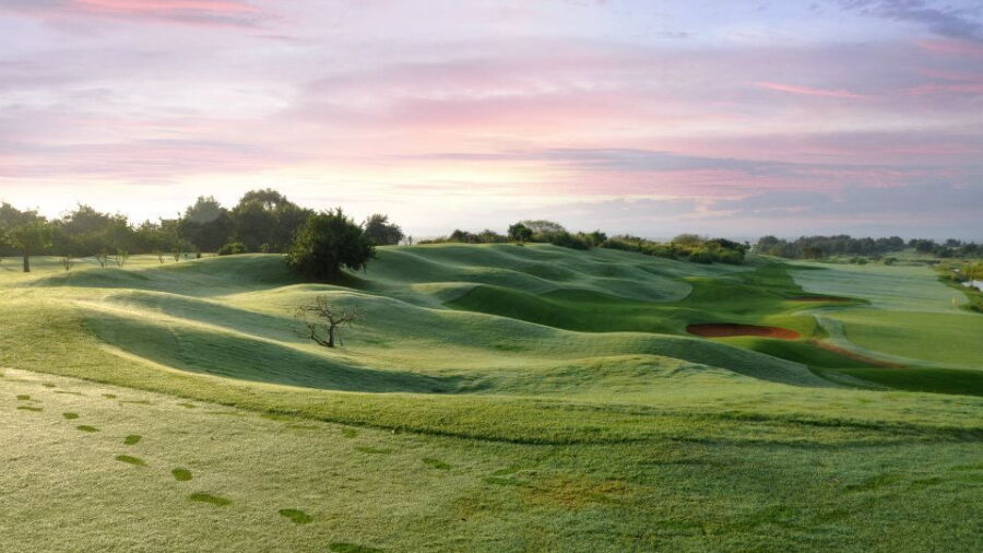 Vipingo Ridge - Baobab