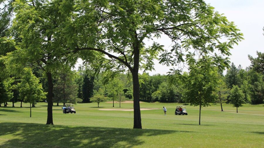 Stony Creek GC