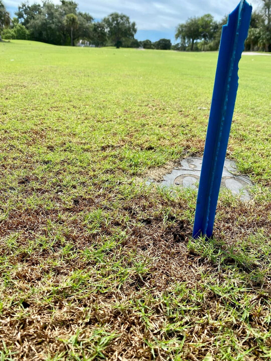 200-yards in, marker (Photo submitted by srfleury5871 on 08/14/2021)