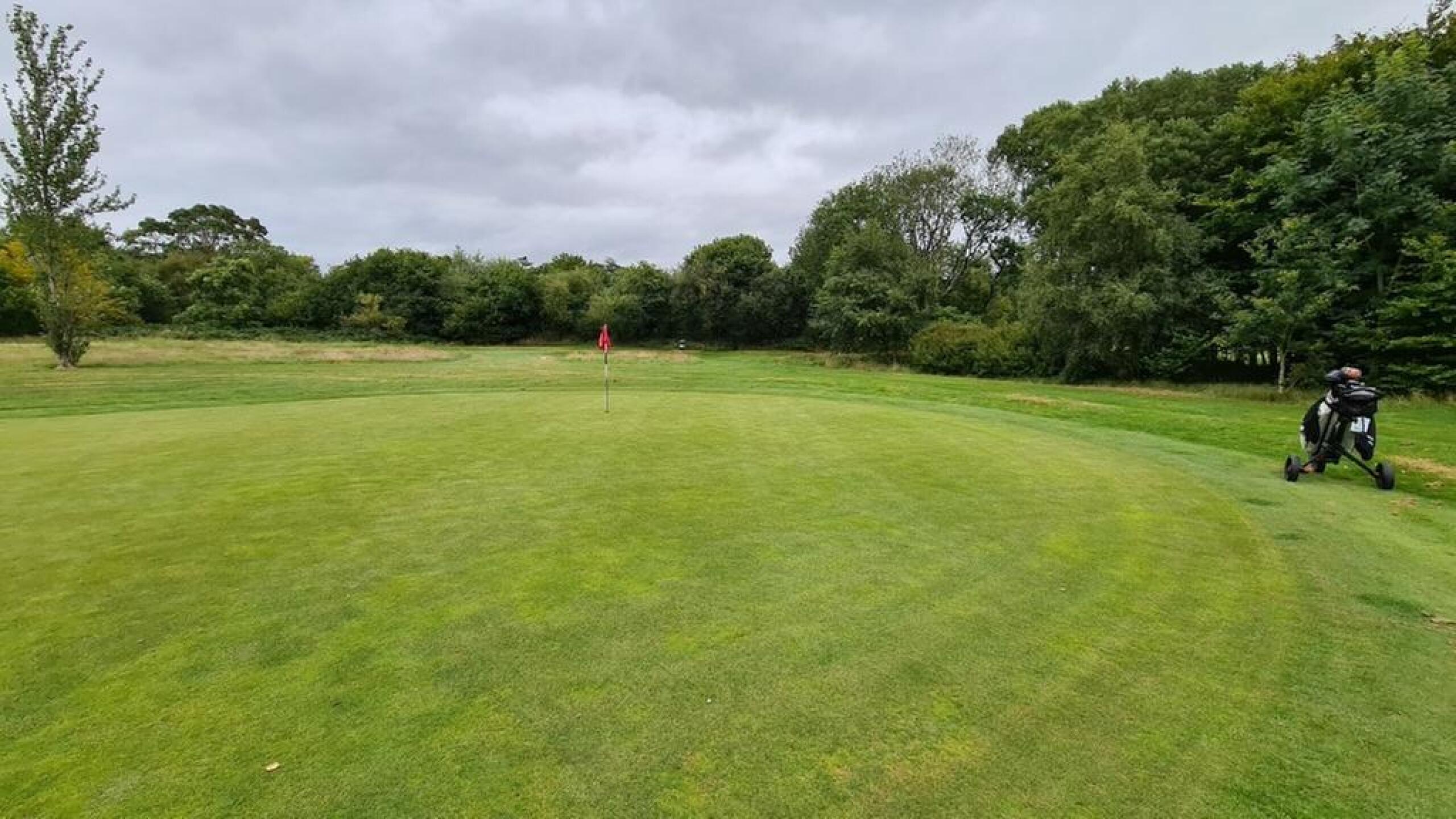 (Photo submitted by ljbd999 on 08/05/2020)