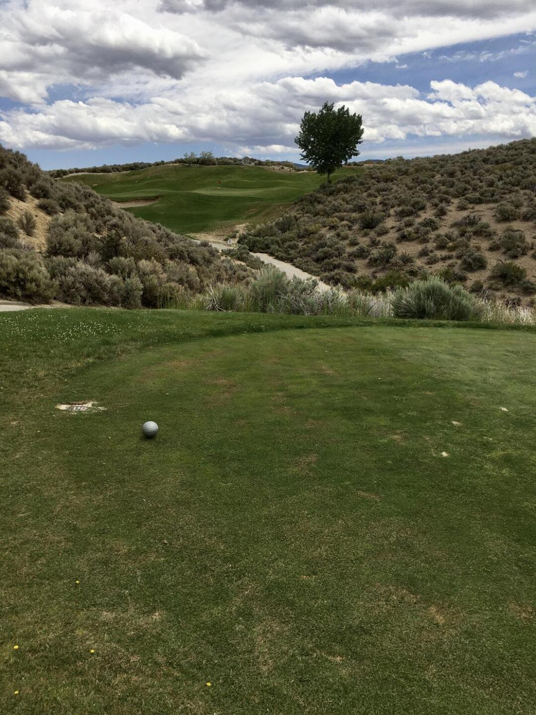 Very hilly par three, green included (Photo submitted by Hoytbrej on 06/10/2021)
