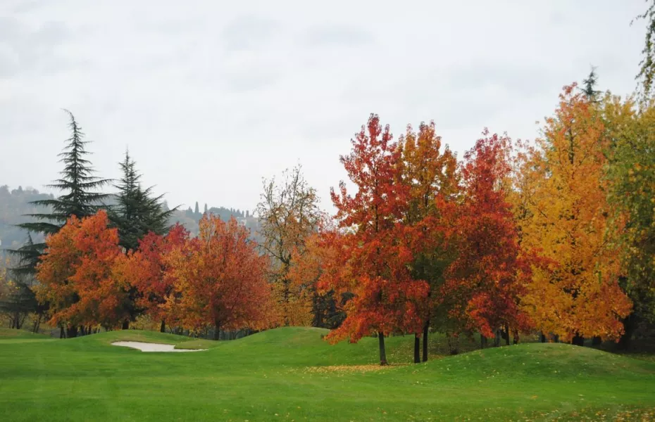 Parco dei Colli Sporting GC