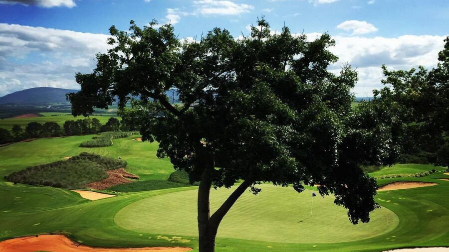 Fazenda Boa Vista - Randall Thompson