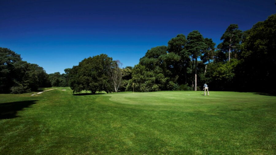 3rd green at  Meyrick Park Golf Club