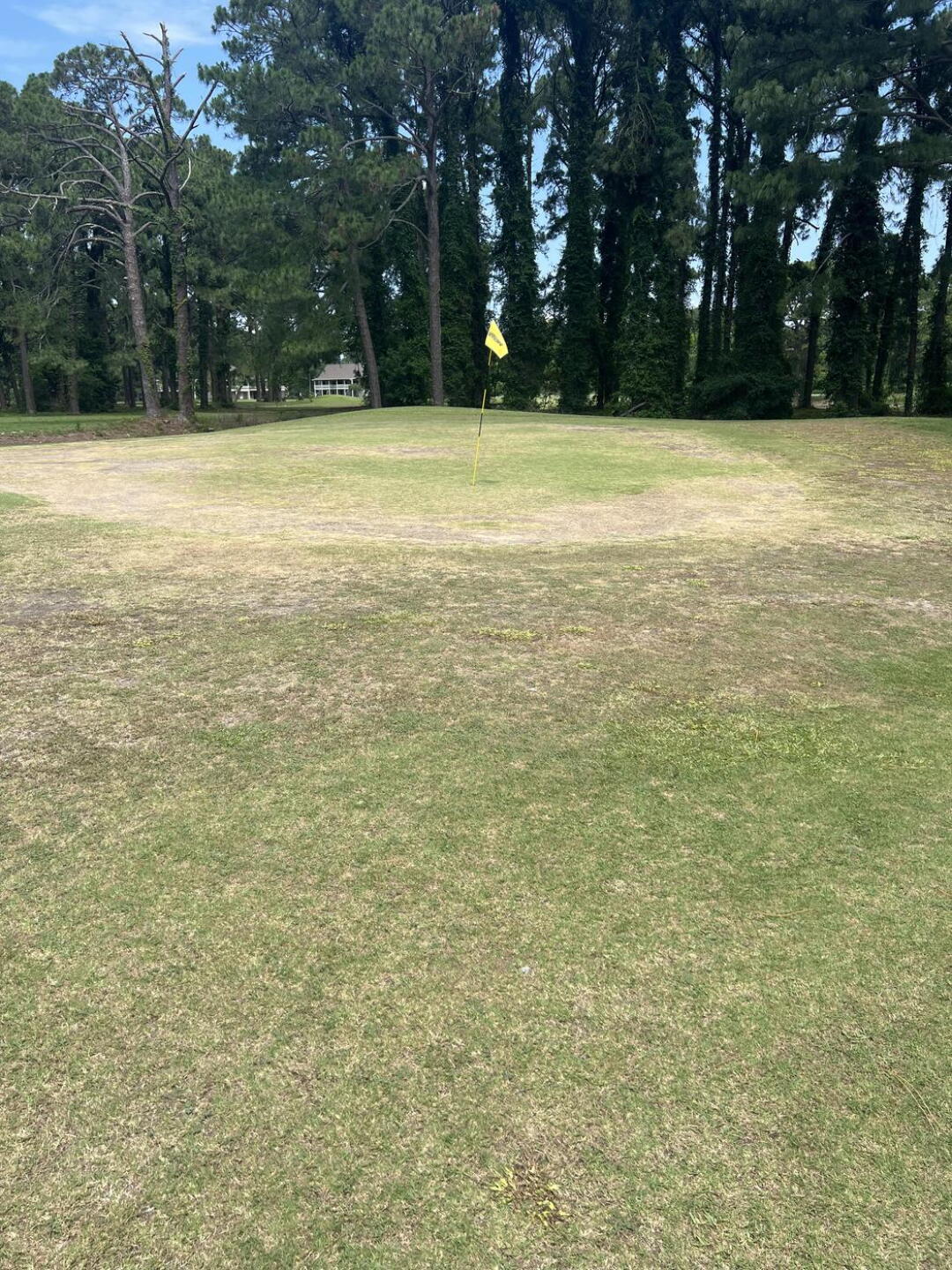 (Photo submitted by u314159734482 on 05/27/2024)