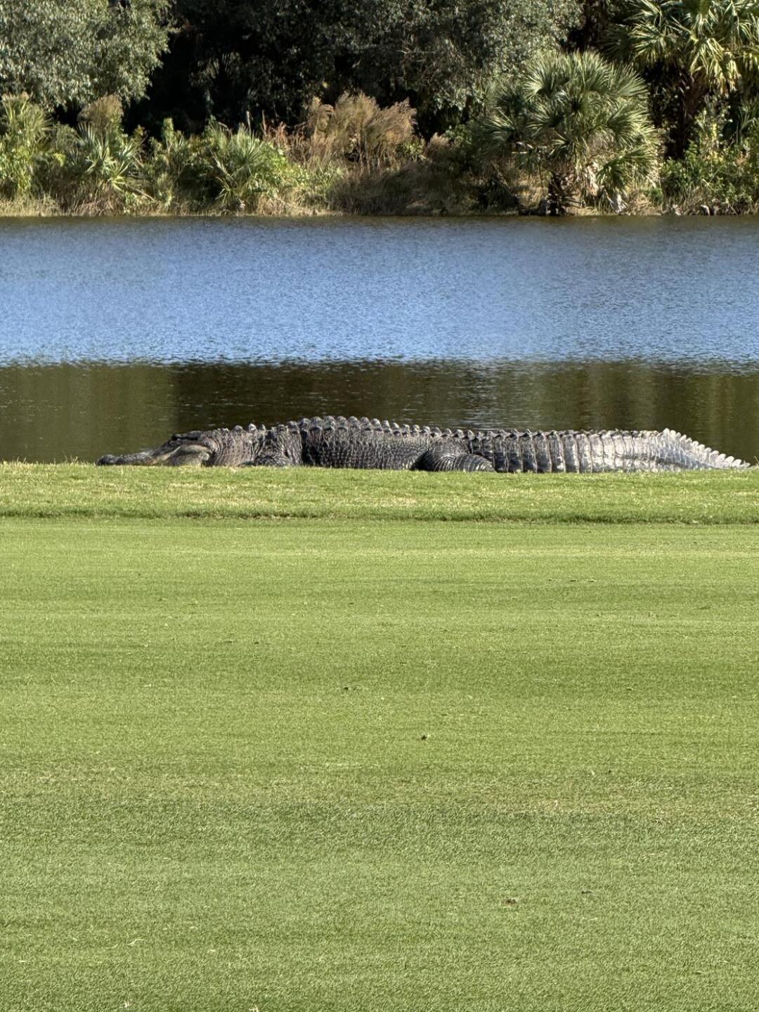 The Mayor sitting on hole 9. (Photo submitted by JLeatherman on 01/25/2026)
