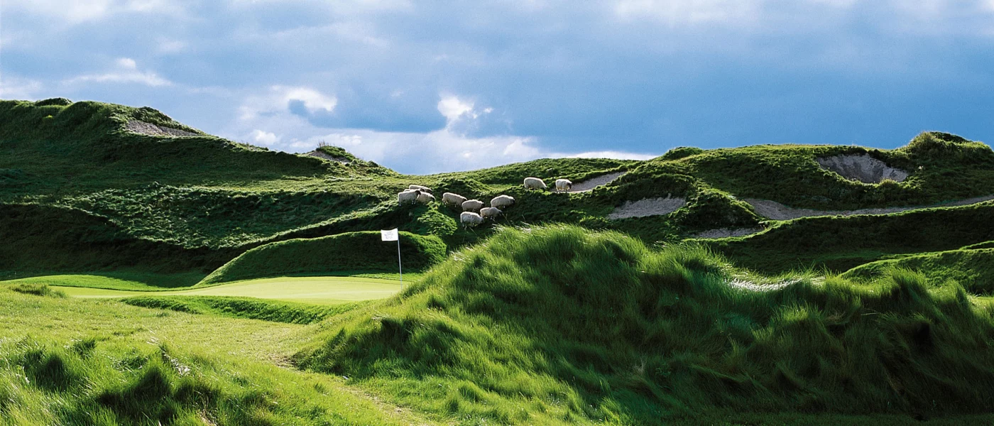 Blackwolf Run Golf Course