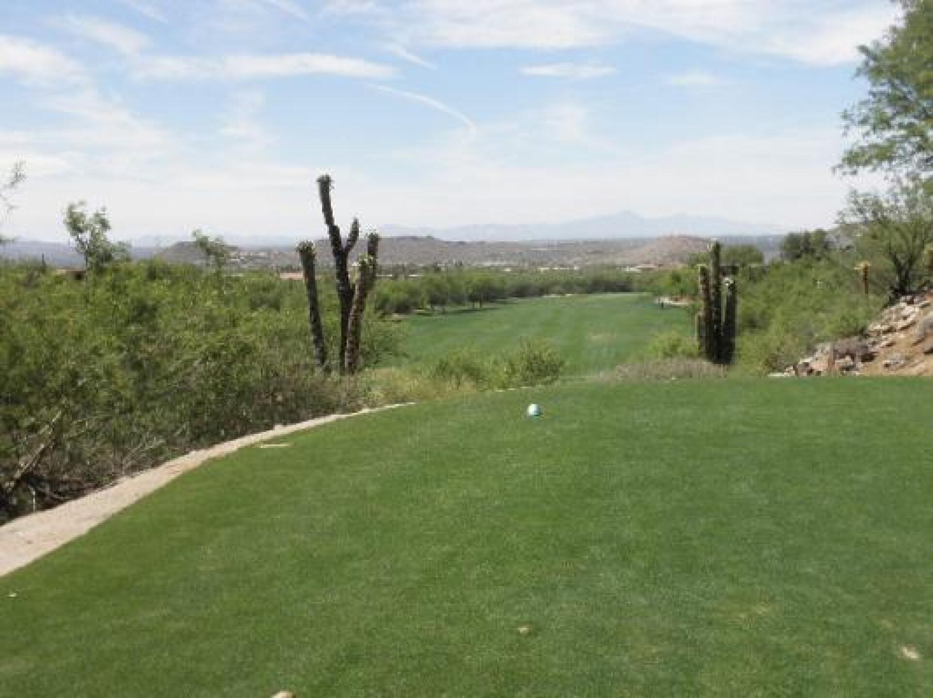 (Photo submitted by 966bonita on 05/20/2014)