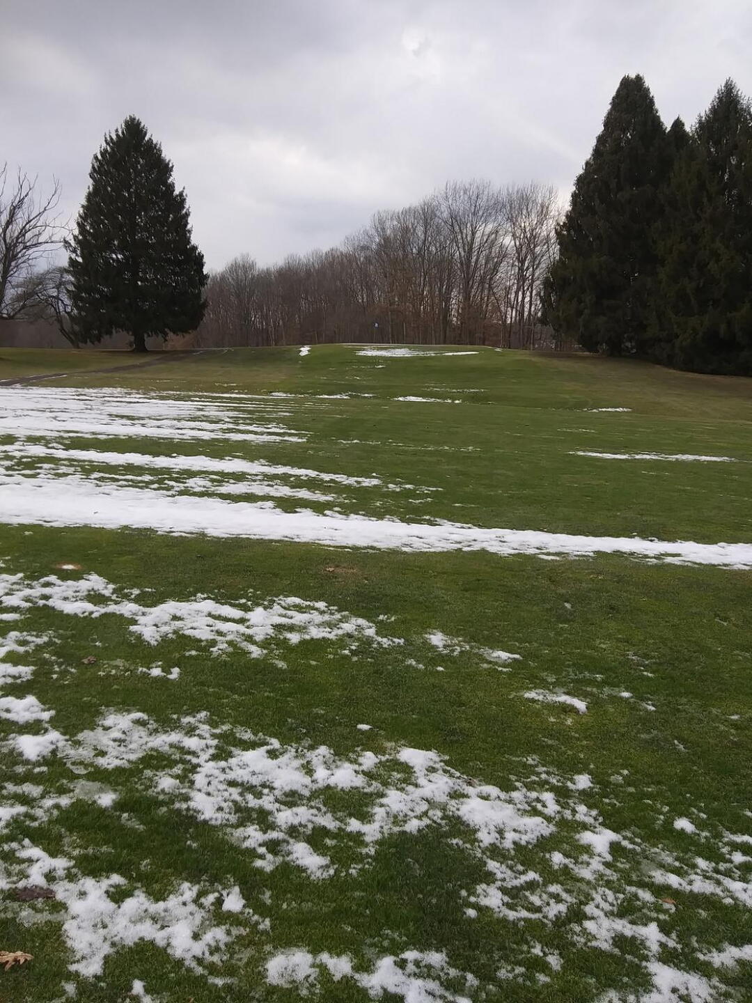 (Photo submitted by u545668034 on 02/25/2021)