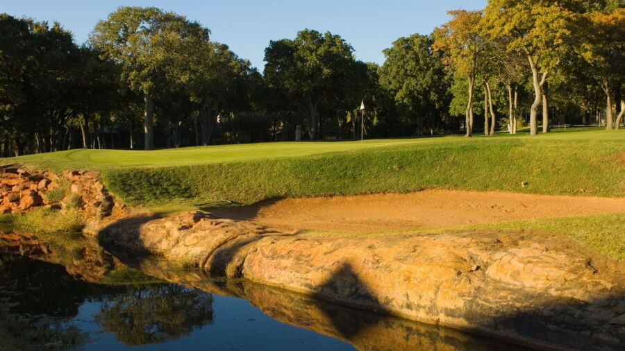 Oak Tree CC