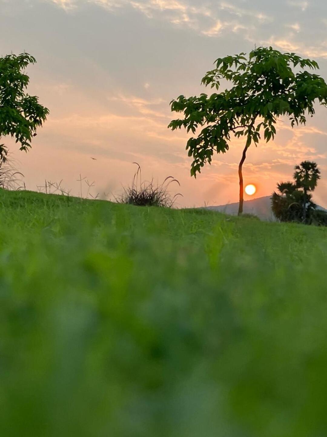 (Photo submitted by VijayGolf on 03/23/2024)