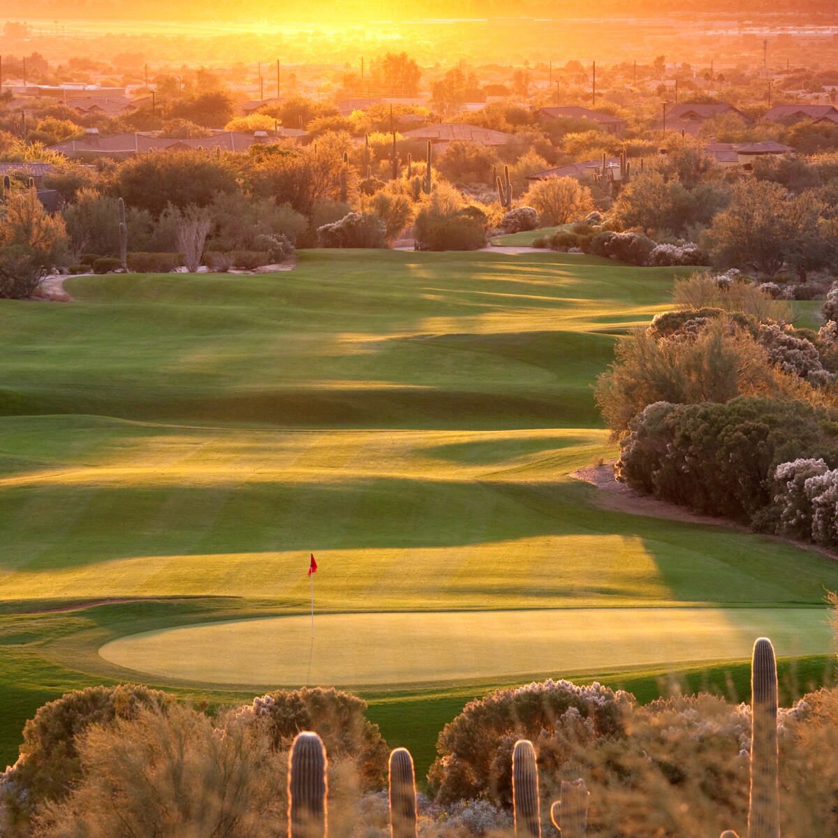 Photography school near me image