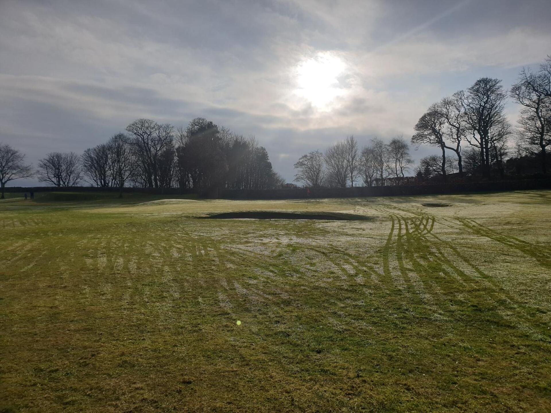 (Photo submitted by u314162093515 on 02/12/2024)