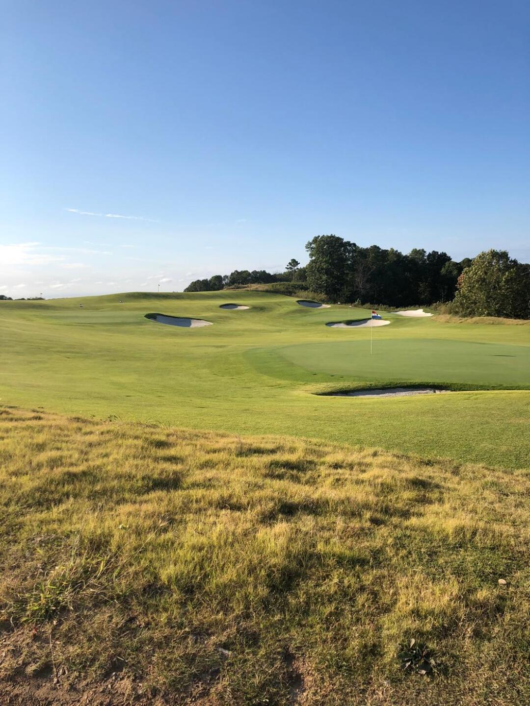 (Photo submitted by HbF26t4bquEx2aRbXAgu on 01/17/2020)