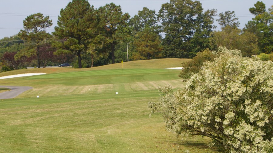 Honey Bee Golf Club - hole 4