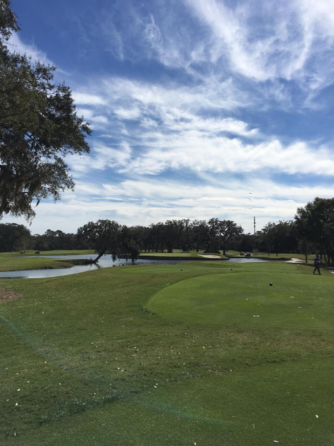Island green #7 (Photo submitted by zbuechner4 on 01/30/2017)