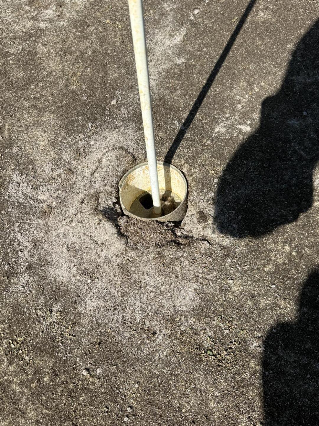 (Photo submitted by u314161788218 on 04/12/2026)