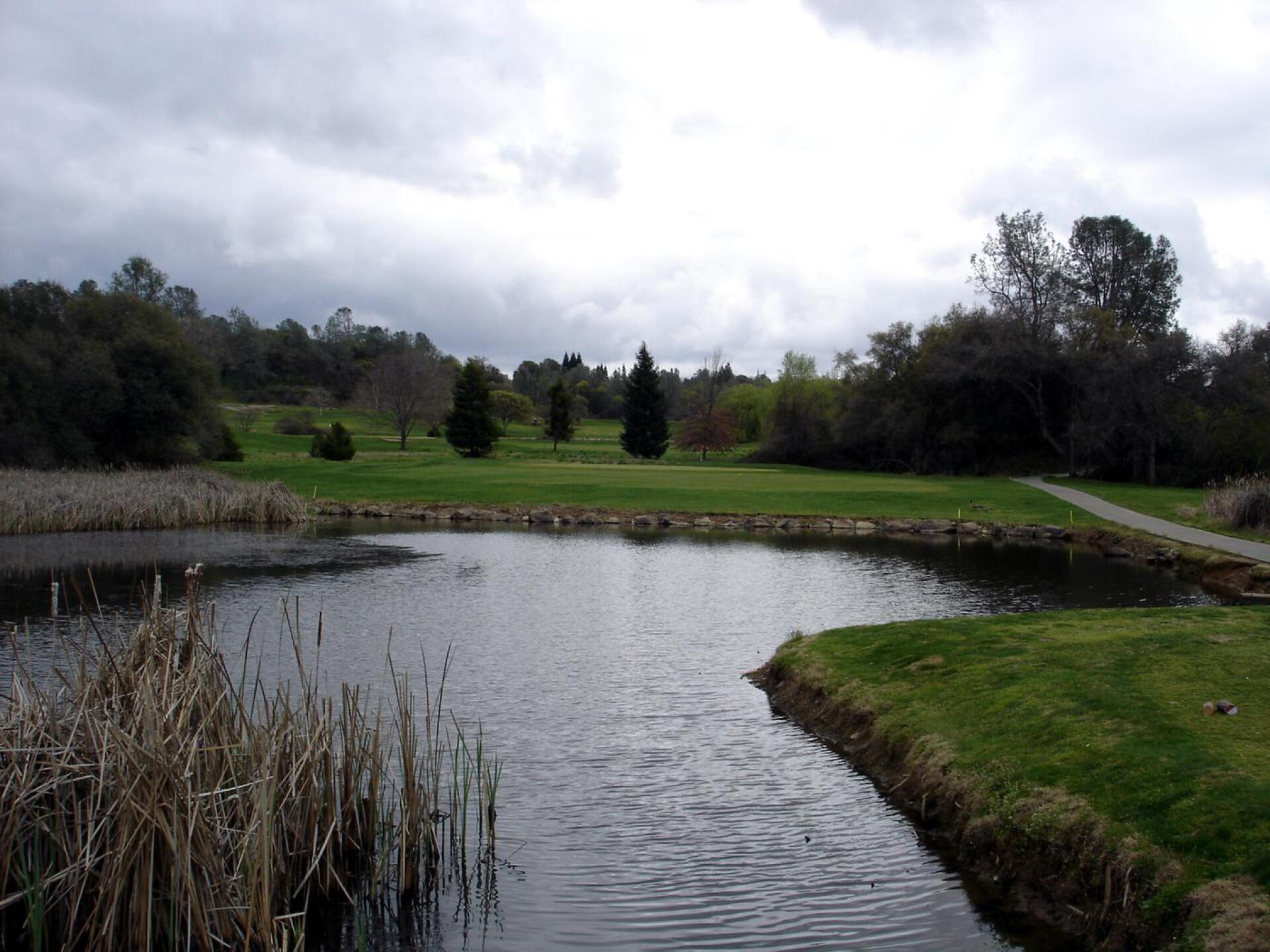 Auburn Valley GC, Hole 16, Par 3, 221 yds (Photo submitted by DYakimec on 06/21/2016)