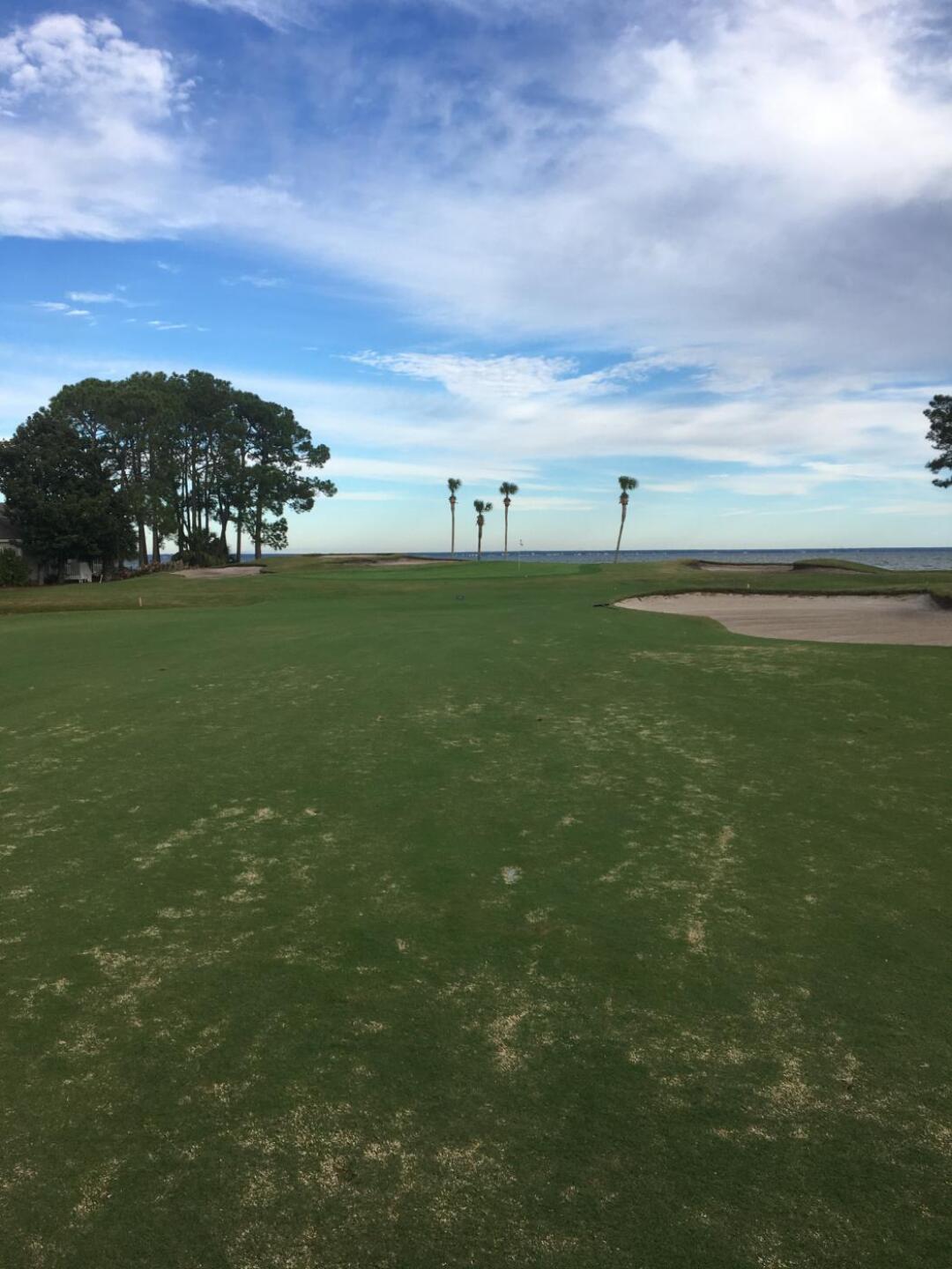 (Photo submitted by Jammnn on 12/30/2019)