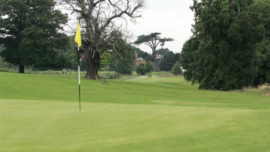 Norwood Park GC - Westwood: #8