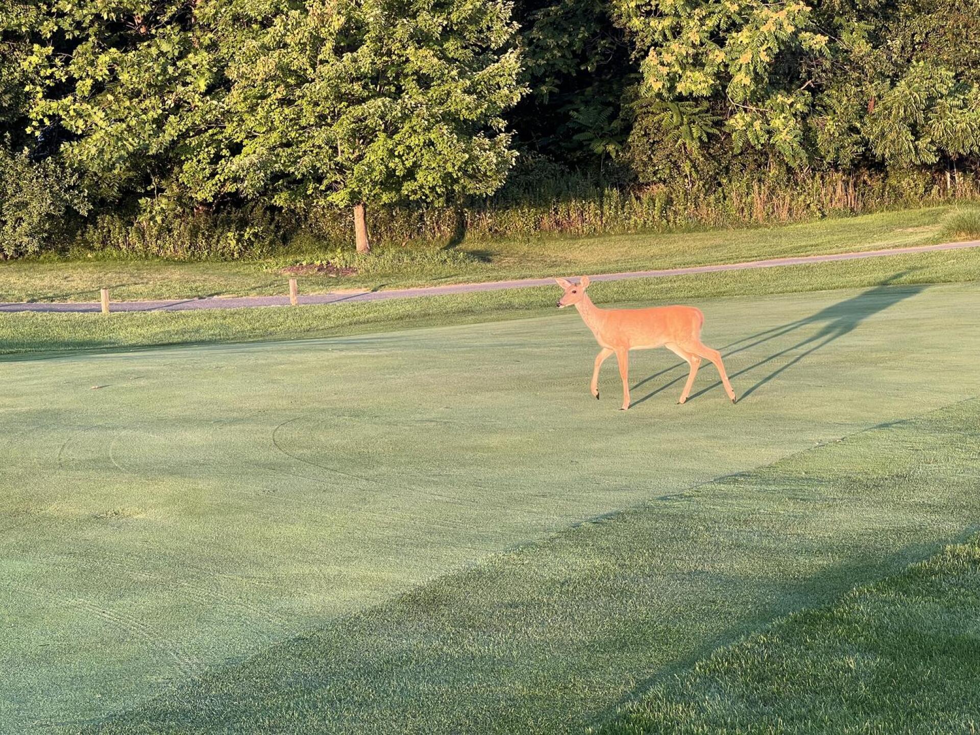 (Photo submitted by u314160982379 on 08/24/2023)