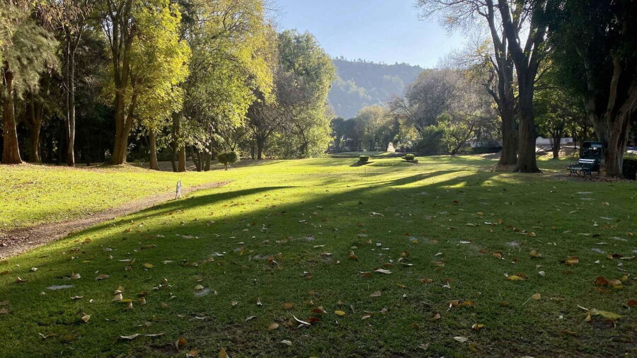 Campestre Morelia GC: #5