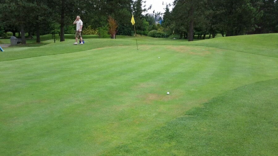 Rupert Park Pitch & Putt