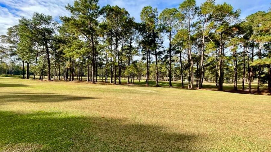Twisted Pine GC