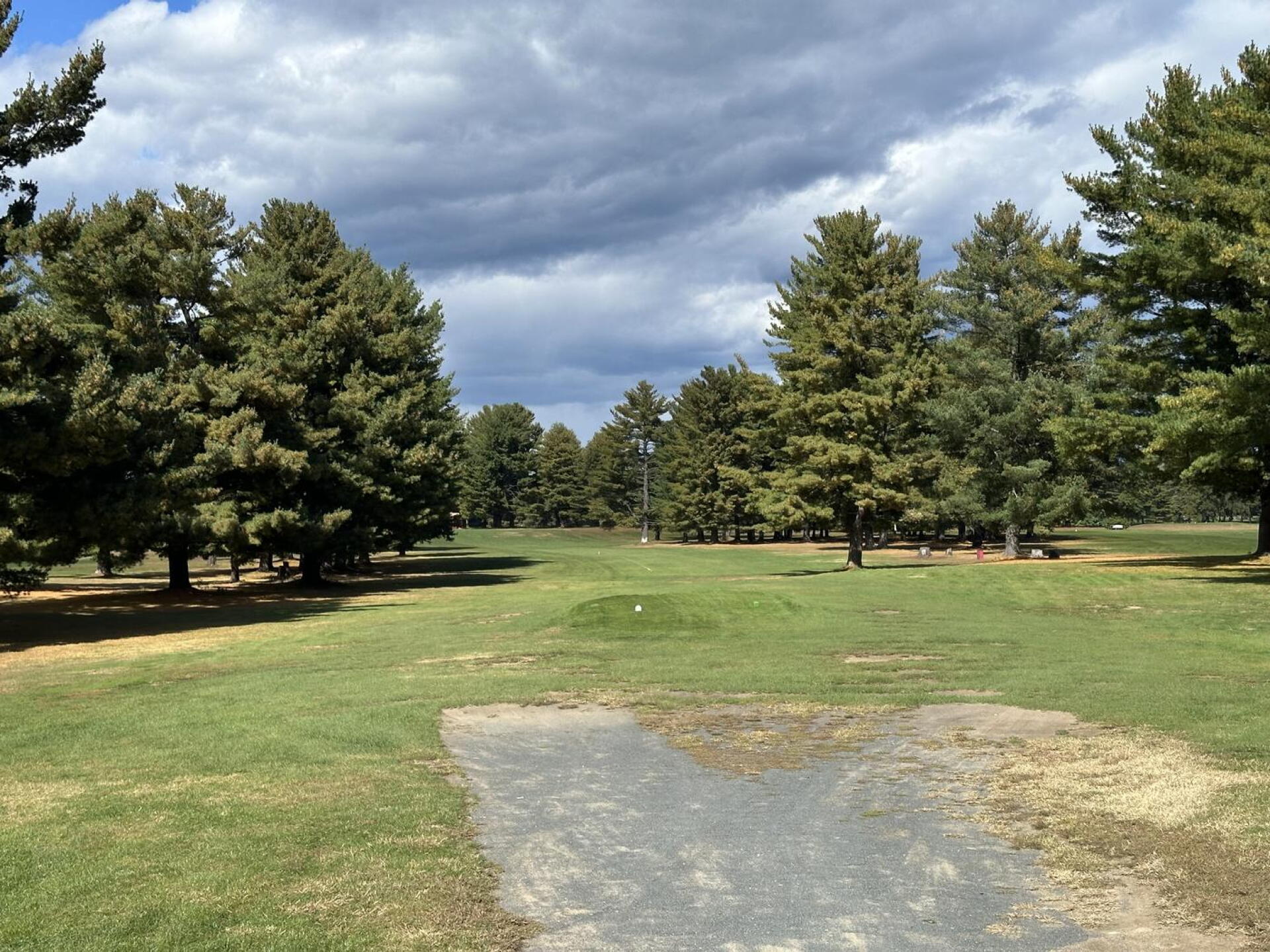 (Photo submitted by plumcuda1 on 10/05/2026)