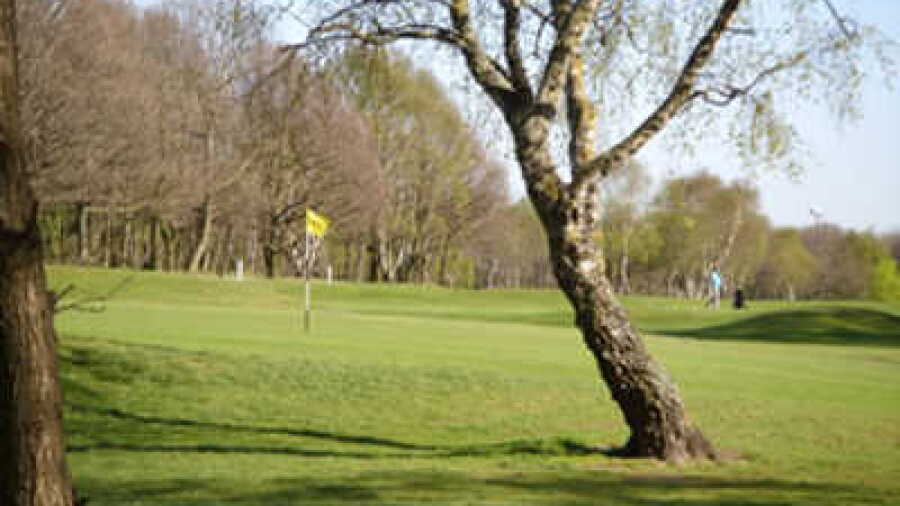 Tinsley Park GC: #9