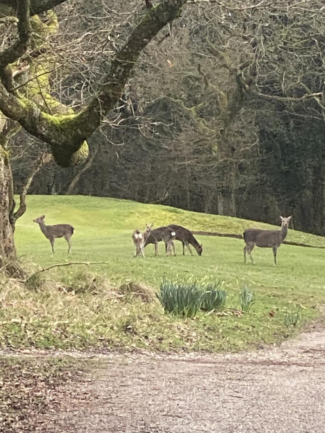 (Photo submitted by siliphilli on 03/18/2023)