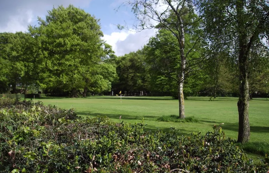 Green from Liverpool North