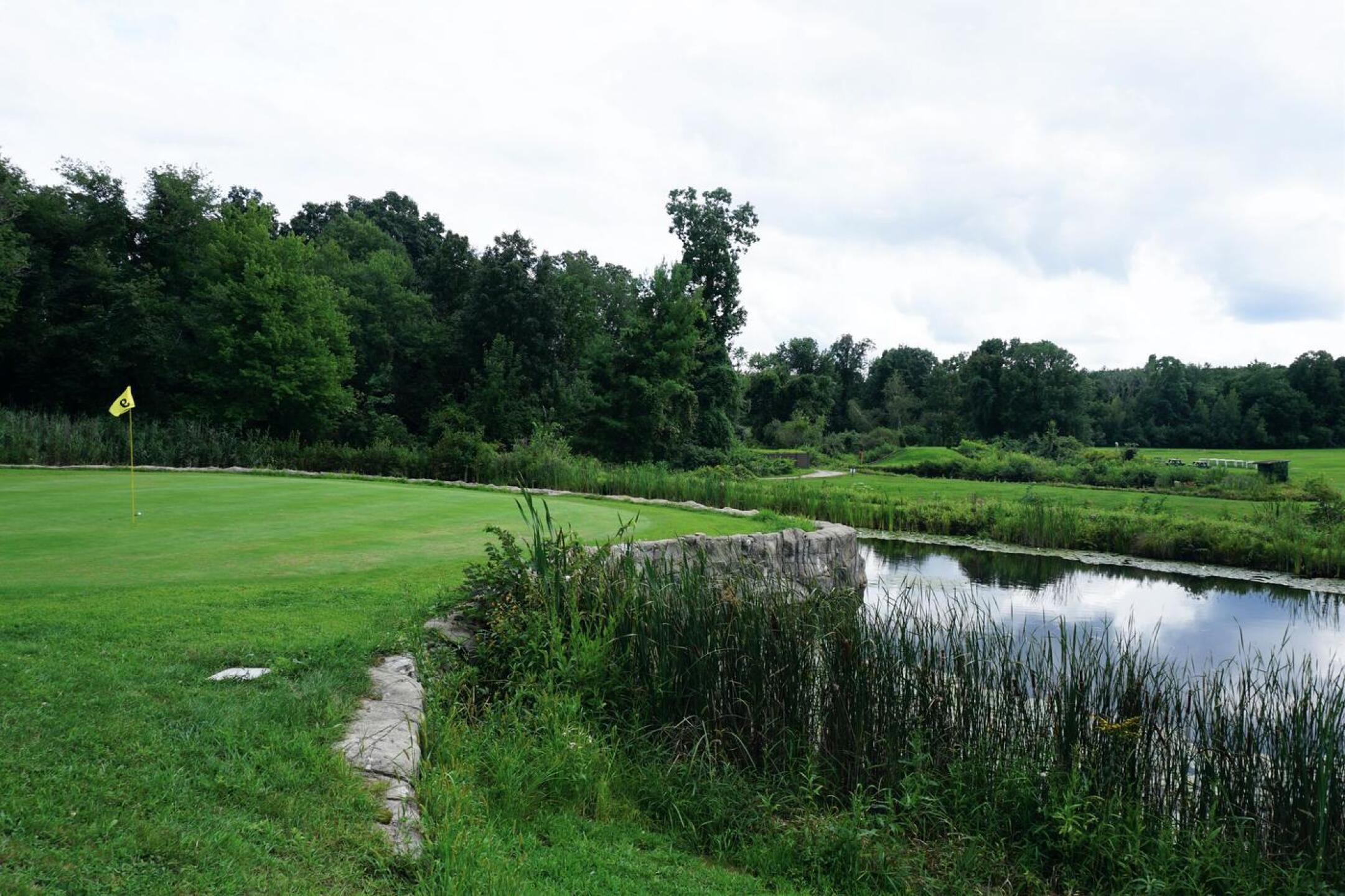 A tough closing hole, the ninth is also quite scenic. (Photo submitted by AptlyLinked on 08/21/2021)