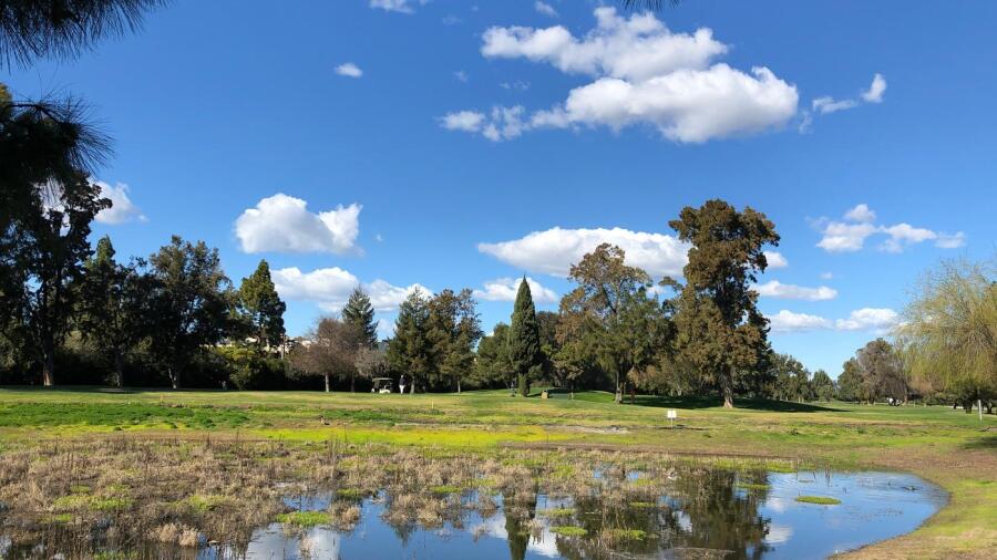 Sunnyvale