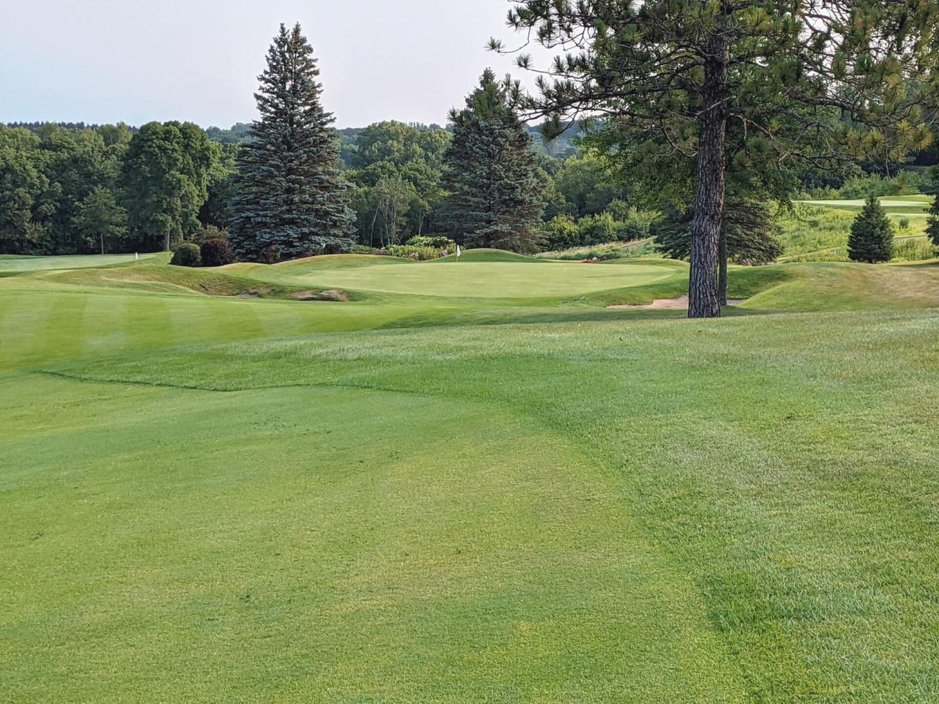 Downhill approach into the 3rd (Photo submitted by GolferJake78 on 08/03/2021)