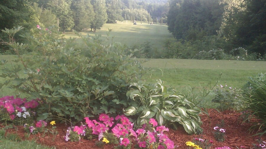 Willowbrook GC