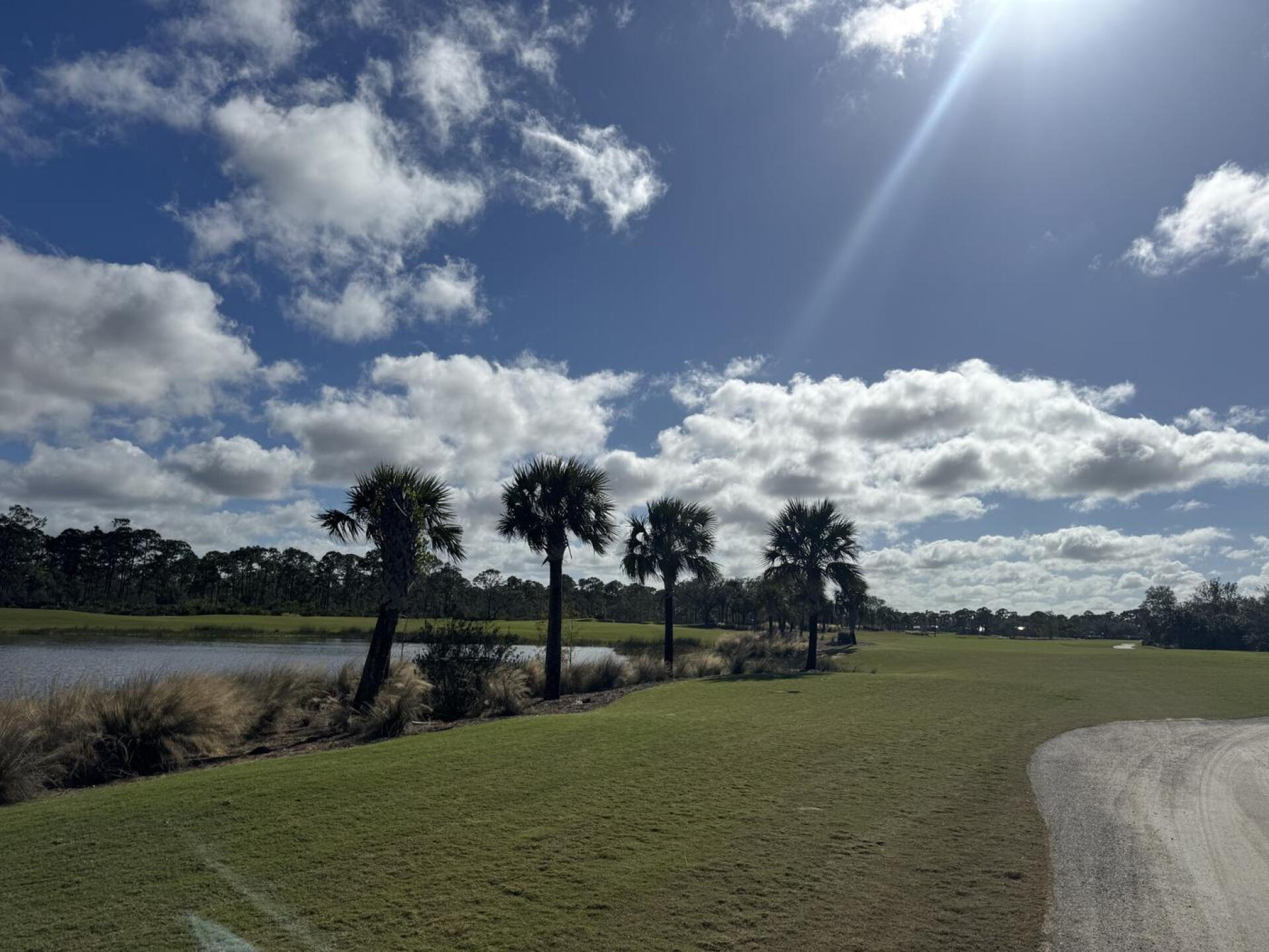 Perfect weather (Photo submitted by 27wFACwlOkUh0HoGcj01 on 12/18/2024)