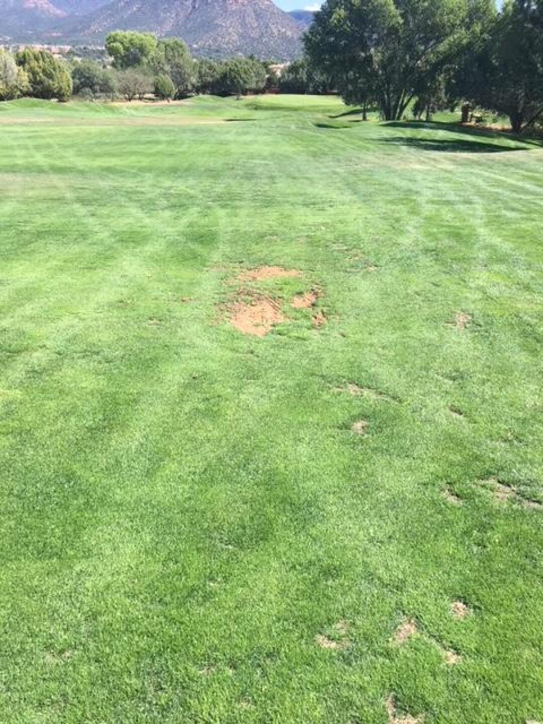 poor fairway (Photo submitted by polishpal on 10/13/2017)