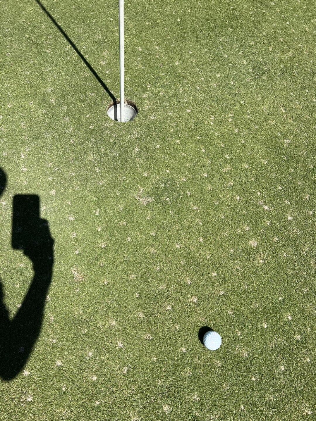 This is what they call perfect greens (Photo submitted by 400428129 on 04/30/2024)