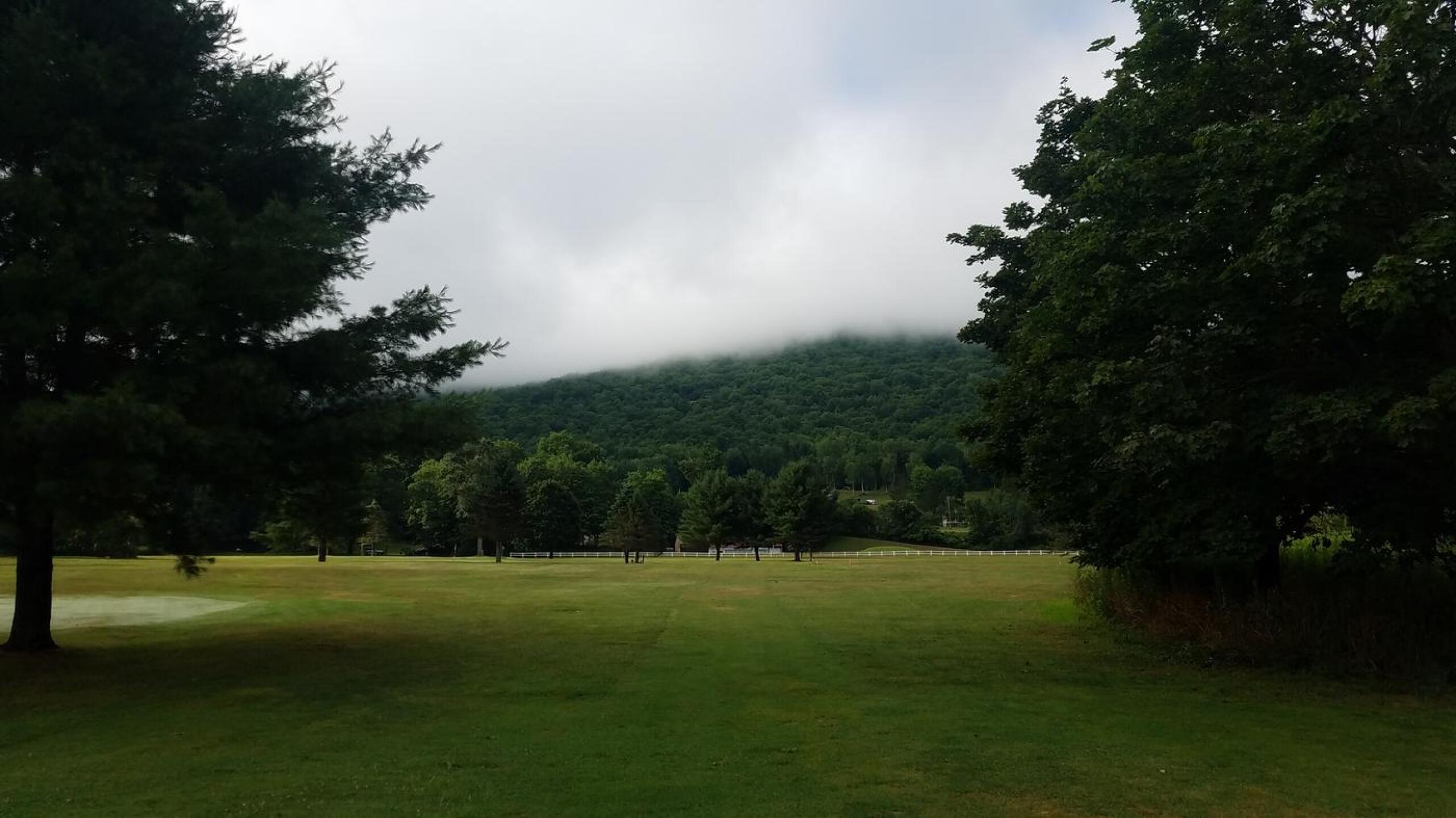 (Photo submitted by Luckyshank on 07/31/2020)