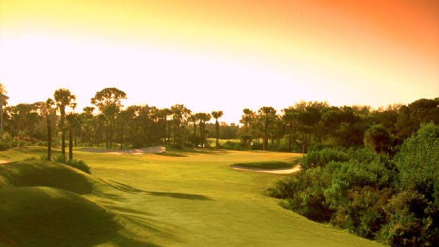 Pelican's Nest GC - Gator: #18