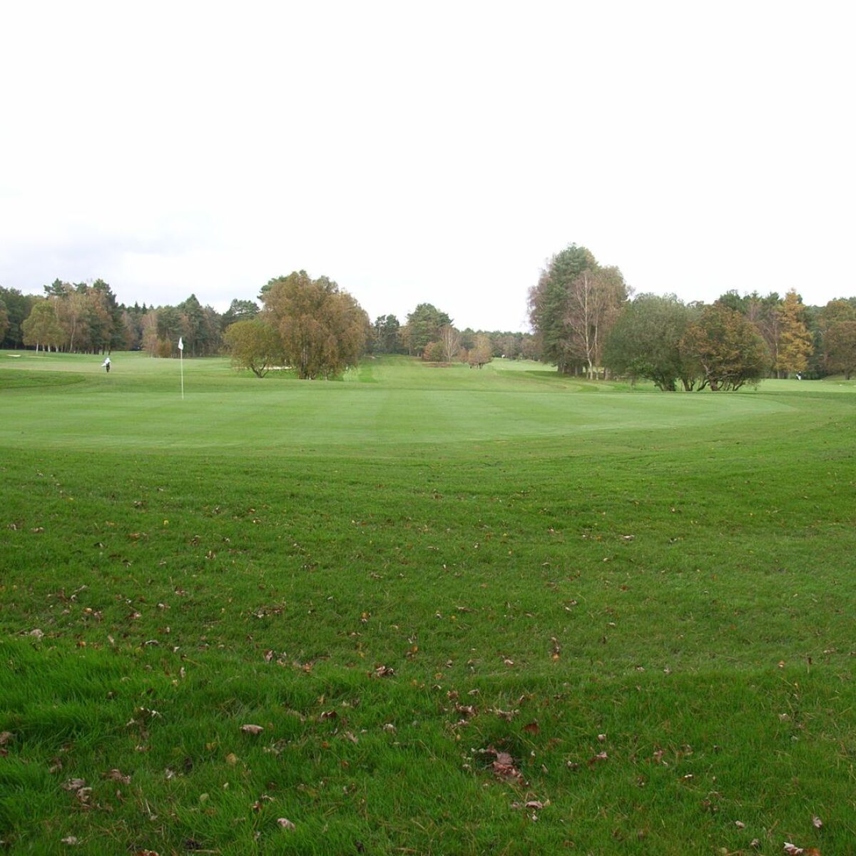 Southampton City 18hole Course in Bassett, Southampton, England