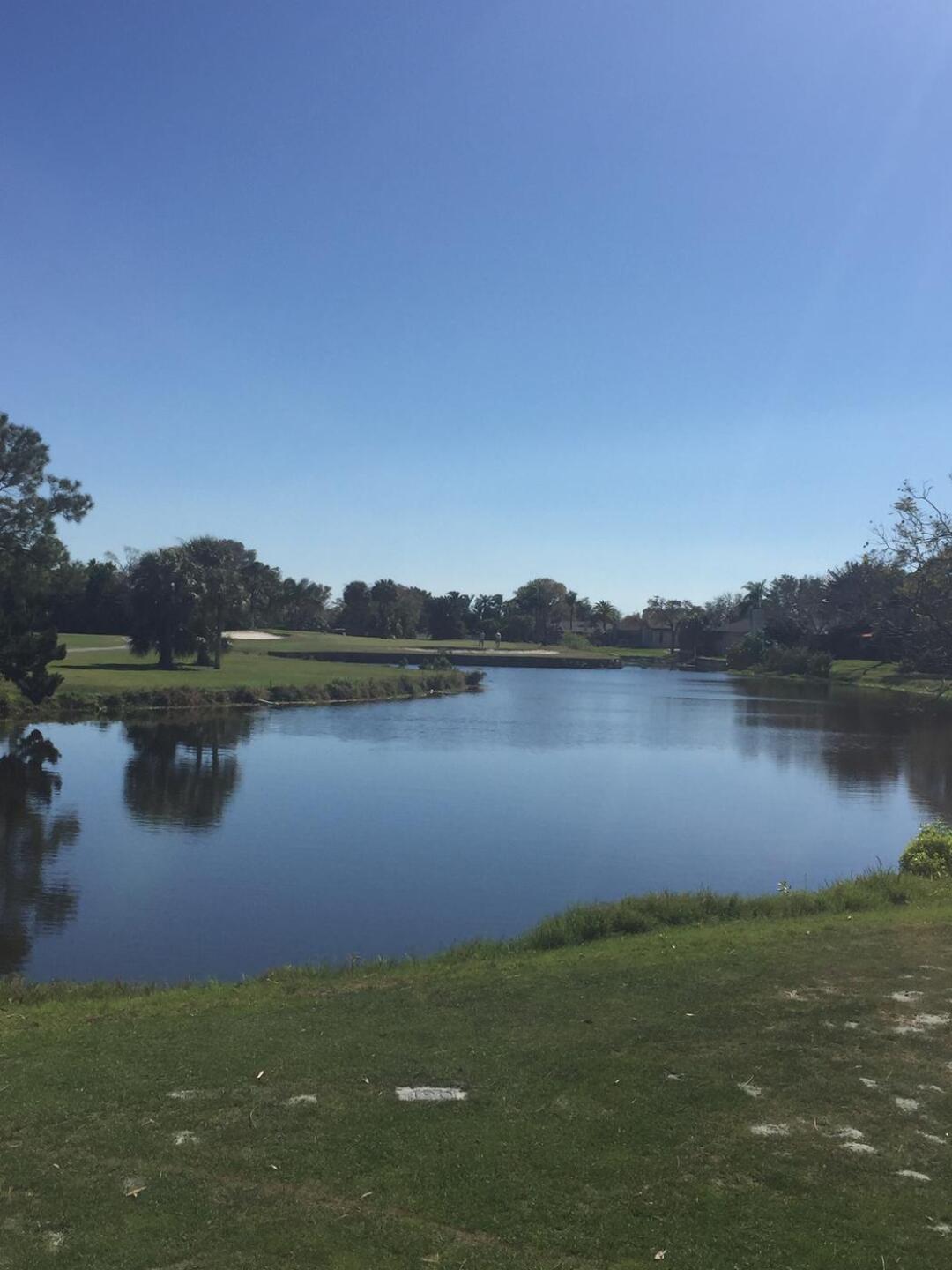 (Photo submitted by SkipPars on 02/25/2021)