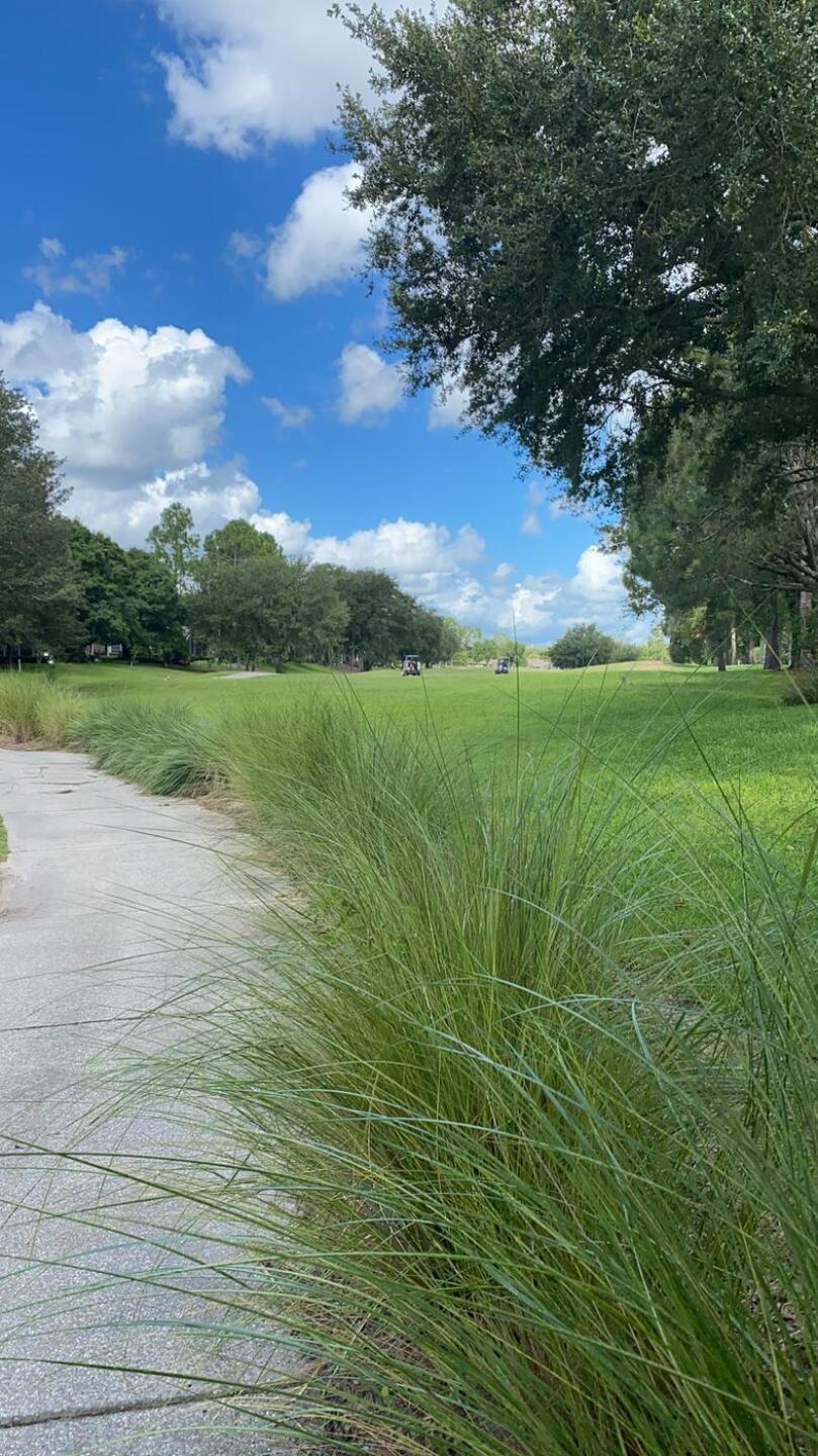 (Photo submitted by u314159282175 on 07/28/2020)