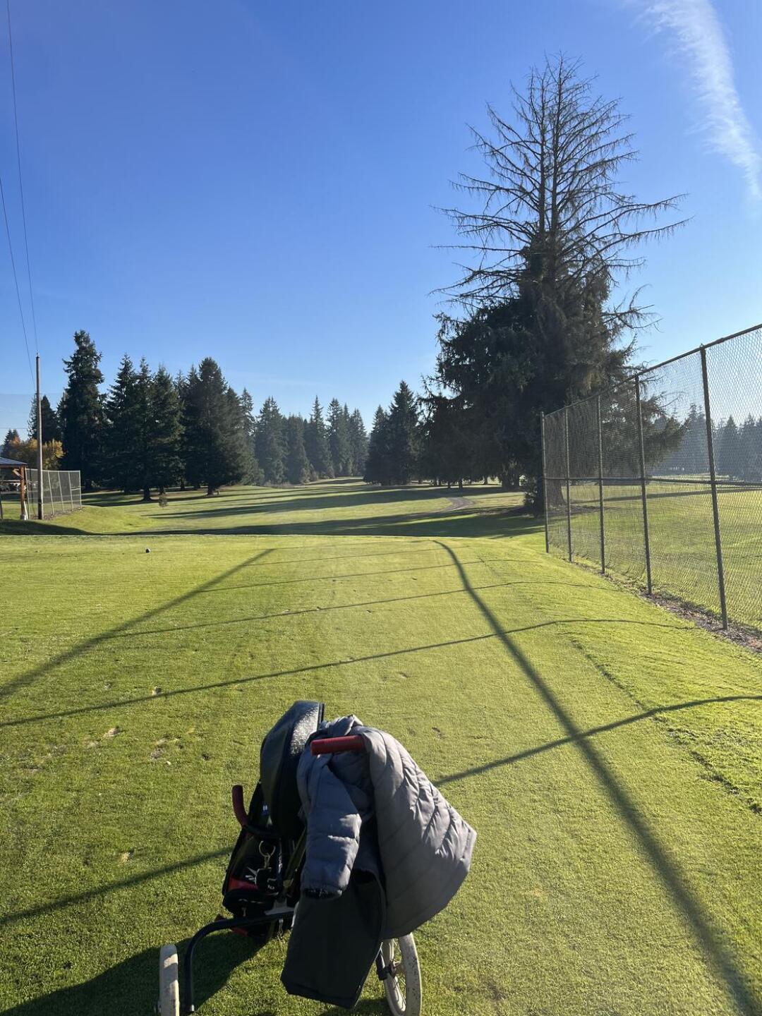 (Photo submitted by SYKwon on 11/28/2022)