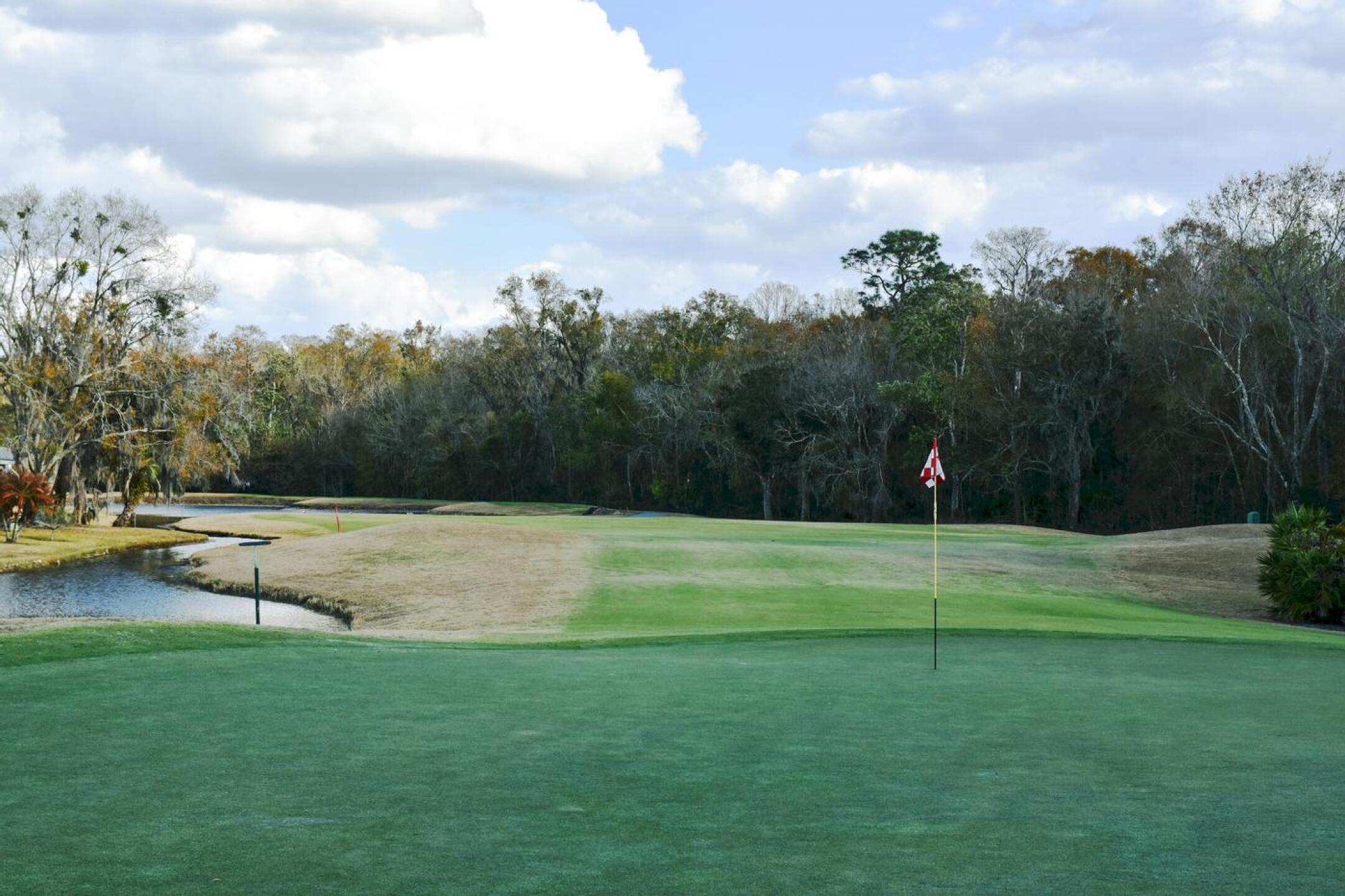 Ten, like the other par-4s here, is short, but it is also cleverly designed to catch errant shots. (Photo submitted by AptlyLinked on 02/18/2026)