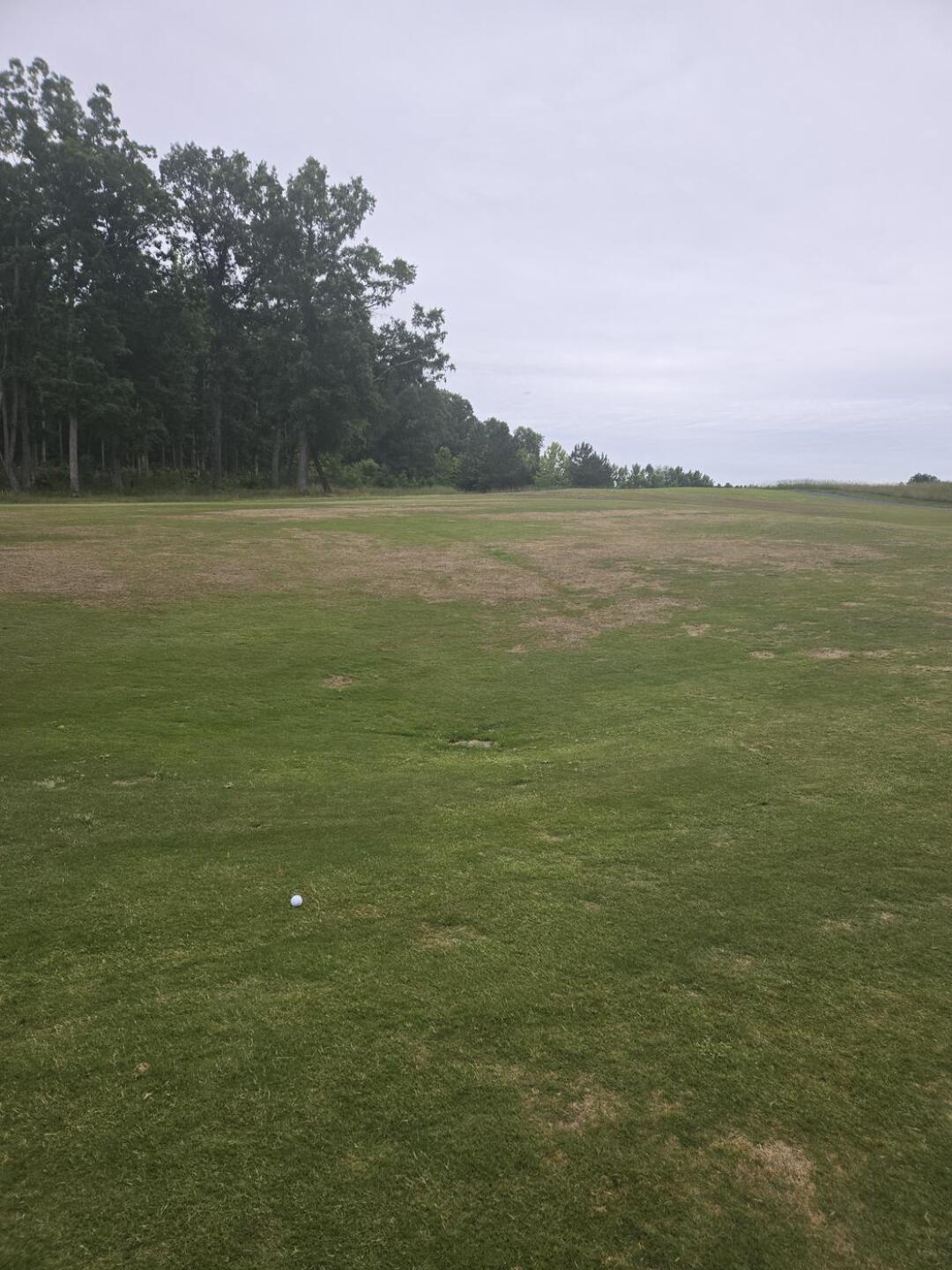 Fairway 1 (Photo submitted by u769573626 on 05/27/2025)