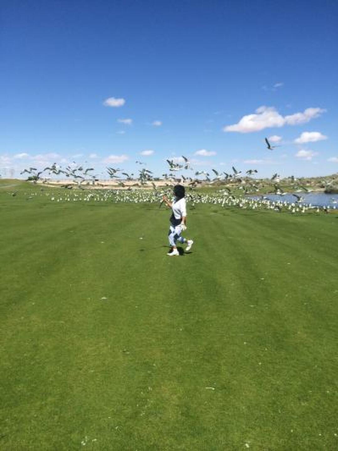 Running withe the birds on No. 12 (Photo submitted by jazzbuff23 on 10/04/2014)