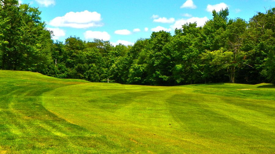 Swan Lake GCC